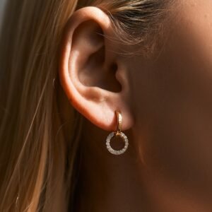 Double Circle Hoop Earrings with Zicron